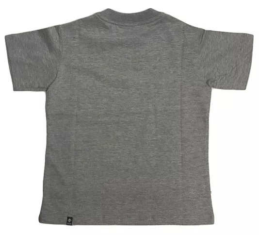 Camiseta Masculina Infantil Session Logo Skate 2003 Manga Curta Estampada - Cinza Mesclado