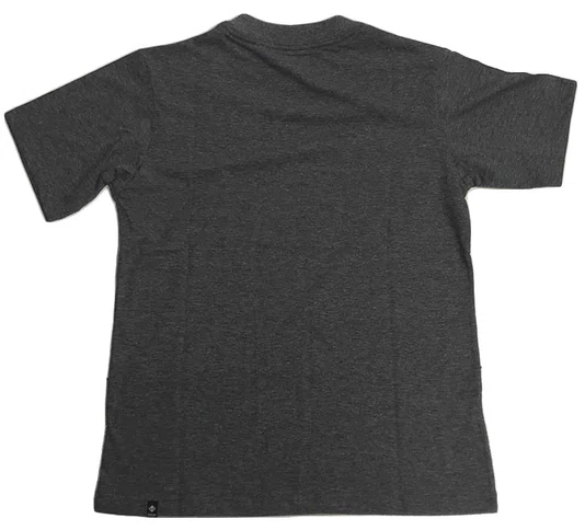 Camiseta Masculina Juvenil Session Logo Skate 2003 Manga Curta Estampada - Chumbo