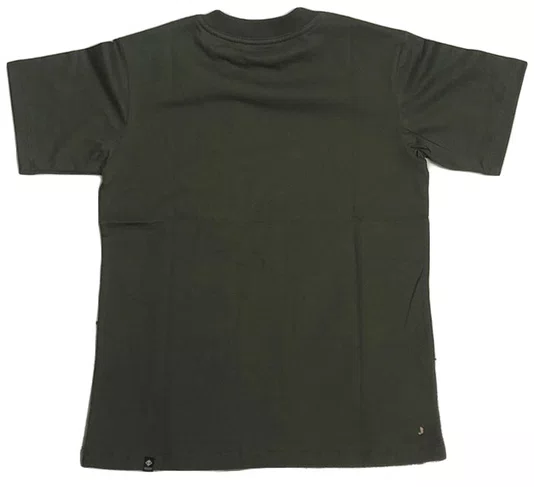 Camiseta Masculina Juvenil Session Logo Skate 2003 Manga Curta Estampada - Verde