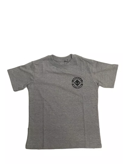 Camiseta Masculina Juvenil Session Skateboard Manga Curta Estampada - Cinza Mesclado