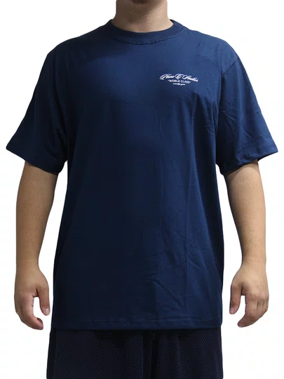 Camiseta Masculina Plano C Legendary Manga Curta Estampada - Marinho