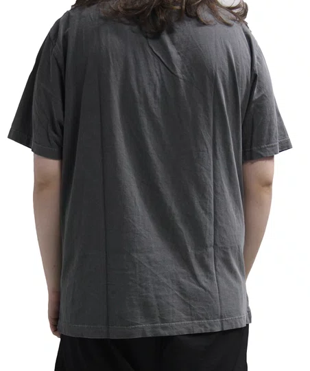 Camiseta Masculina Plano C Stone Wash Manga Curta Estampada - Grafite