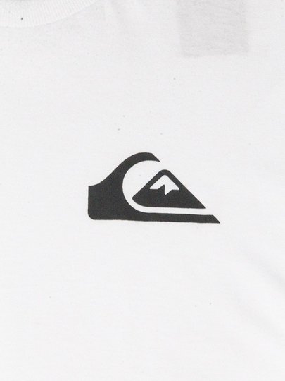 Camiseta Masculina Quiksilver Everyday Manga Curta Estampada - Branco