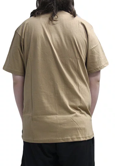 Camiseta Masculina Rip Curl Outline Manga Curta Estampada - Marrom
