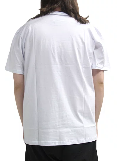 Camiseta Masculina Rvca Mini Balance Box Manga Curta Estampada - Branco