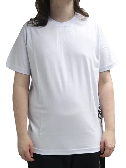Camiseta Masculina Santa Cruz Classic STR Manga Curta Estampada - Branco