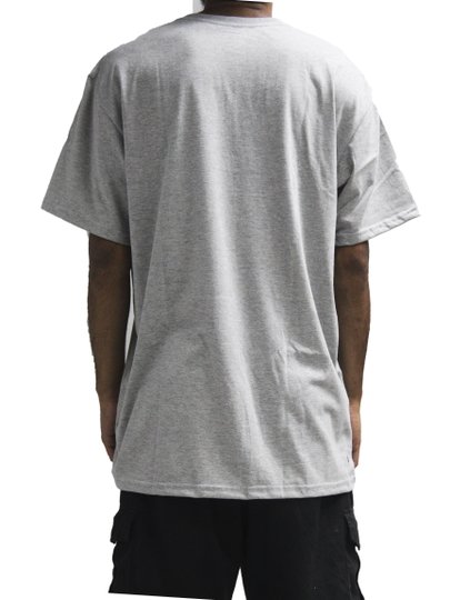 Camiseta Masculina Session Aqui Vive Um Skateboard Manga Curta Estampada - Cinza/Mescla