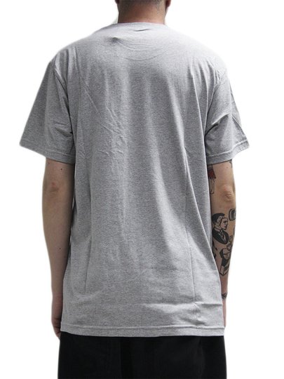 Camiseta Masculina Thrasher Blaze Manga Curta Estampada - Cinza/Mescla