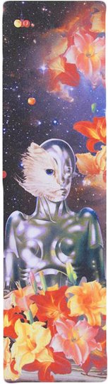 Lixa Primitive Cat - Sortida