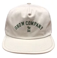 Boné Aba Reta Grow Snapback Descons - Bege