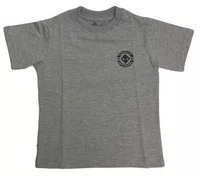 Camiseta Masculina Infantil Session Chest Logo Manga Curta Estampada - Cinza Mesclado