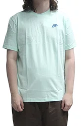Camiseta Masculina Nike Sb Loginho Bordado Manga Curta Estampada - Verde Água