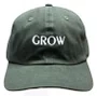 Boné Aba Curva Grow Dad Hat Descons - Verde