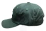 Boné Aba Curva Grow Dad Hat Descons - Verde