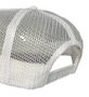 Boné Session Classico Trucker Skateboard 2025 - Branco