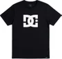 Camiseta Juvenil DC Shoes Star TN - Preto