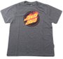 Camiseta Juvenil Santa Cruz Flaming Dot Manga Curta Estampada - Grafite Mescla