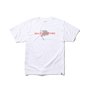 Camiseta Masculina DC x Ben G Tre Flip Manga Curta Estampada - Branco