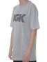 Camiseta Masculina DGK Levels Tee Manga Curta Estampada - Cinza Mesclado