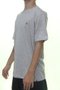 Camiseta Masculina Hurley Mini Icon Manga Curta - Cinza Mescla