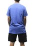 Camiseta Masculina RVCA Big Stone Manga Curta Estampada - Azul