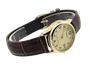 Relógio Casio Vintage Analogico LTP-V002GL-9BUDFF - Marrom/Dourado