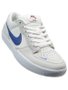 Tênis Masculino Nike SB Force 58 - Phantom/Blue Jay